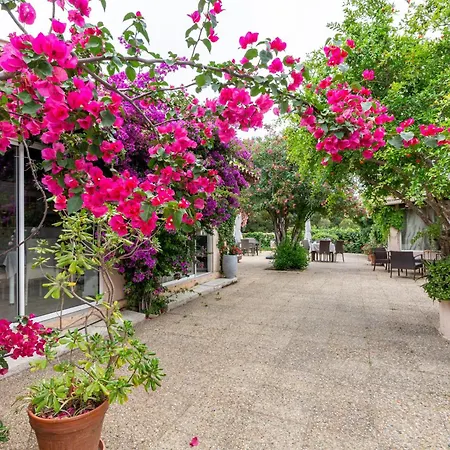 Guest house D'hotes Les Amandiers